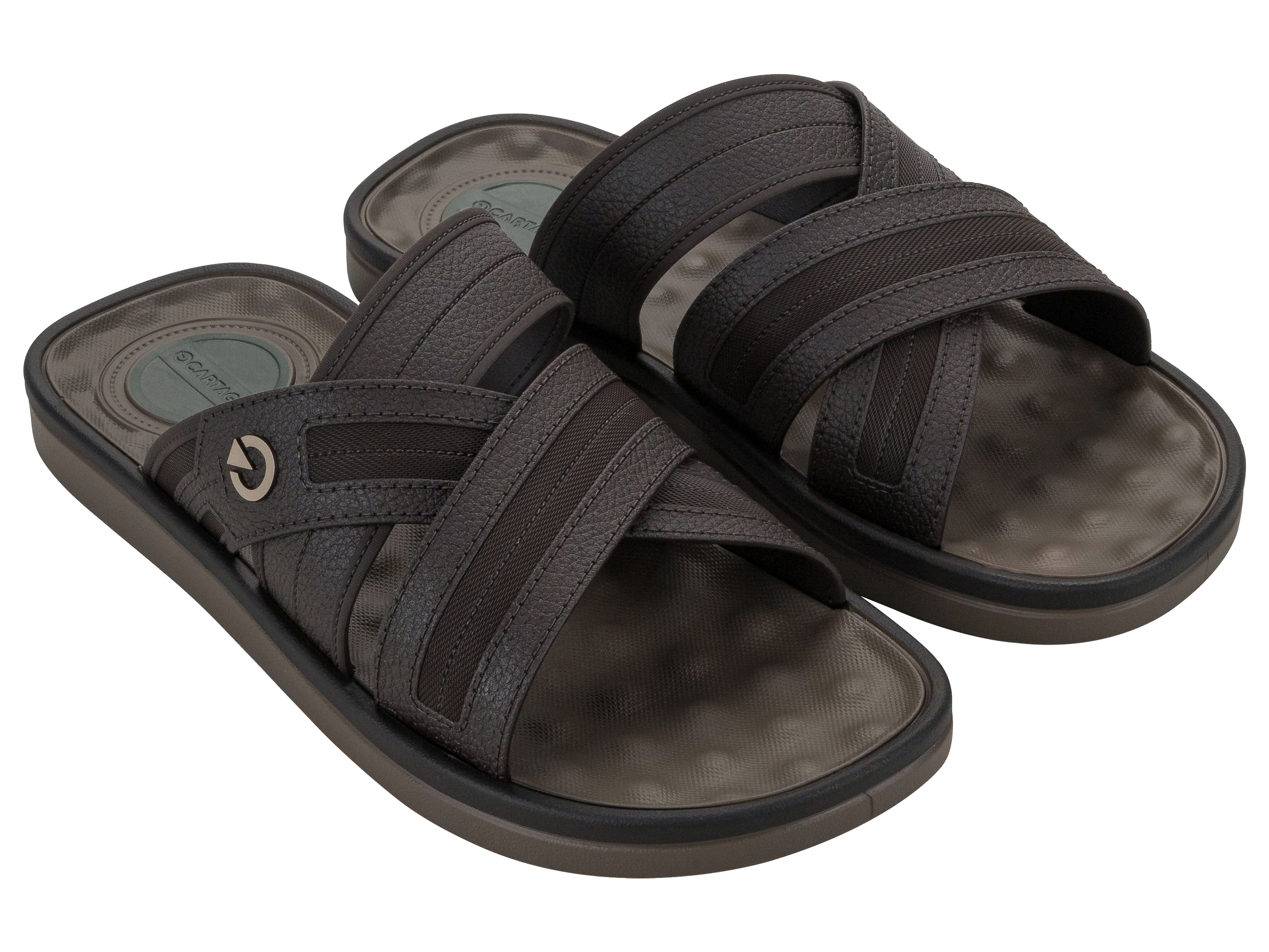 Ipanema Cartago Men's Alabama Slide