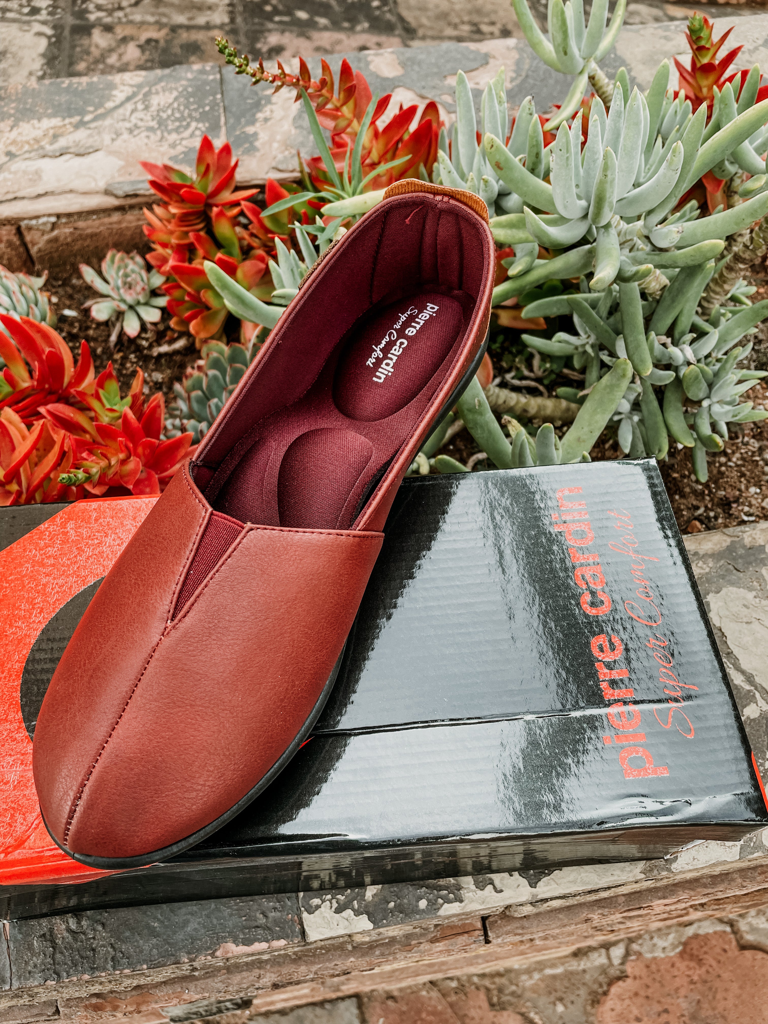 Pierre Cardin Ladies 00854 Bordeaux