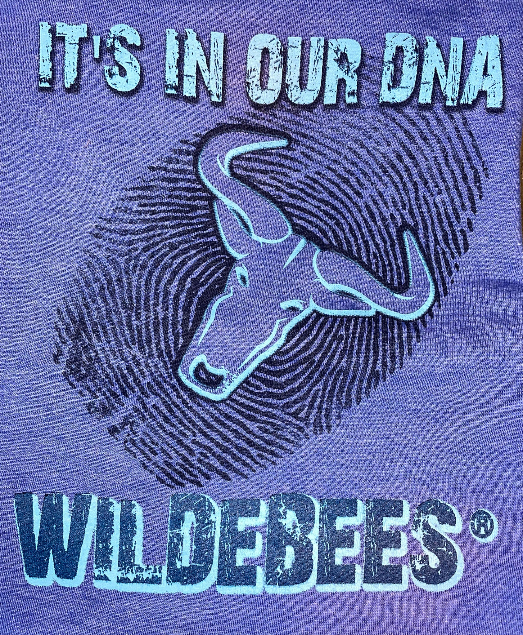 Mens Wildebees Long Sleeve T-Shirts
